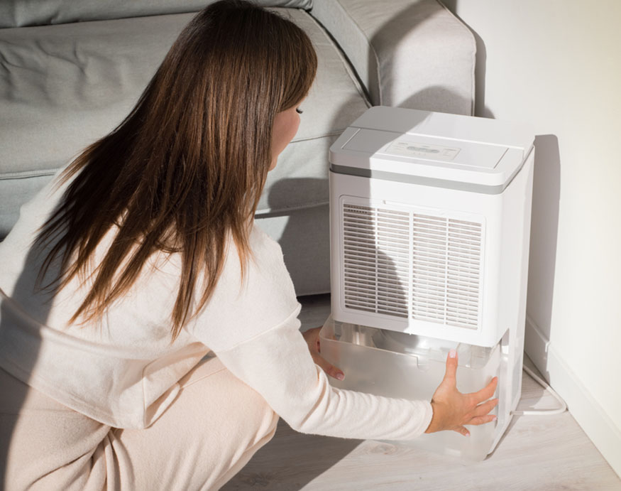 can place one dehumidifier help the whole house