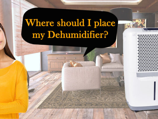 Dehumidifier Placement: How One Room Can Affect the Whole House