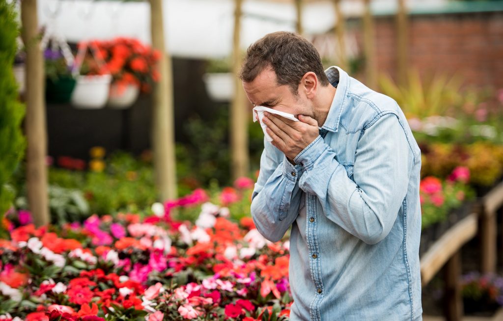 spring allergies sufferer